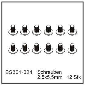 Schrauben 2,5x5,5mm (12 StÃ¼ck) - BEAST BX...