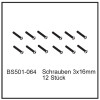 Schrauben 3x16mm (12 StÃ¼ck) - BEAST BX / TX