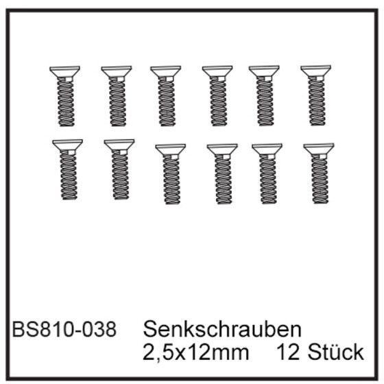Senkschrauben 2,5x12mm (12 StÃ¼ck) - BEAST BX / TX