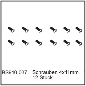 Schrauben 4x11mm (12 StÃ¼ck) - BEAST BX / TX