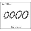 Beadlock Ringe (4)