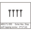 Outer Hex. Step Self-Tapping Screw M3*17 (4)